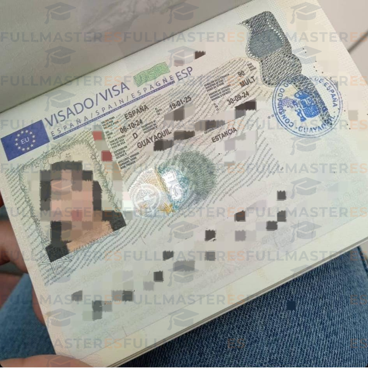 Visa 002