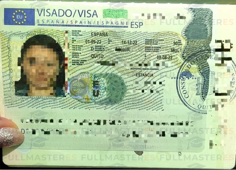 Visa 003
